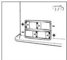 Toyotomi RS-2222 - FIAMMA INCOSTANTE E/O FULIGGINE E/O CATTIVO ODORE. - 24