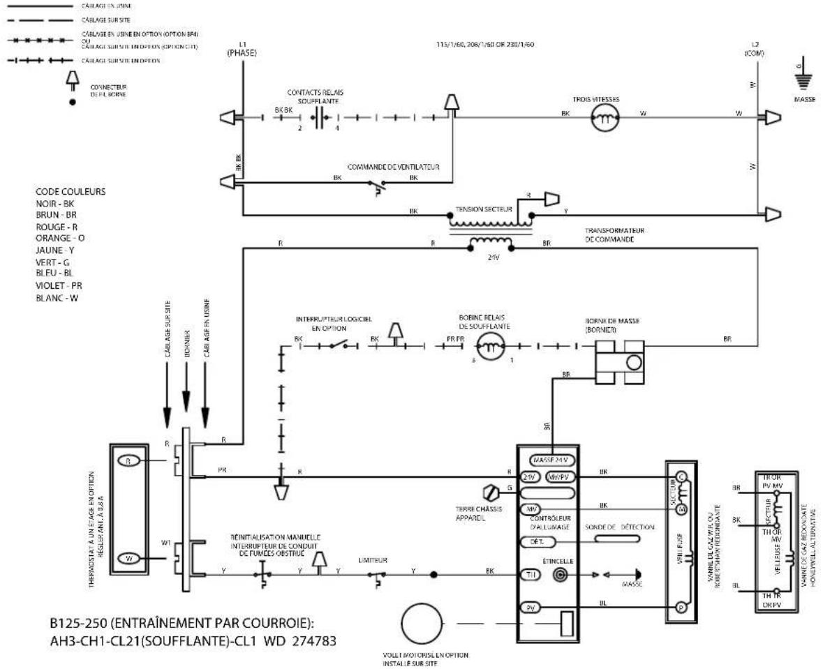 Renzor F - REMARQUES - 1