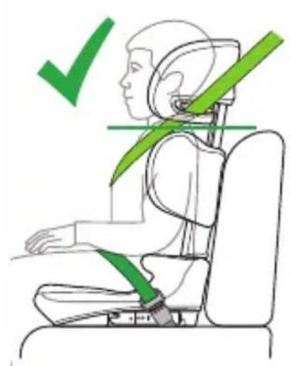 COSATTO Ninja i-Go R129 - Lista de comprobación: - 10