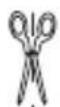 SILVERCREST Rhythm Tune - Garancijski list - 4