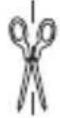 SILVERCREST Rhythm Tune - Garancijski list - 7