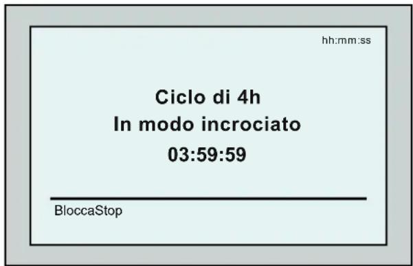 DOLPHIN Wave 300 XL - Inizio della sessione di pulizia - 3