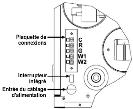 Renzor UDBP - Connexions de câblage d'alimentation - 2