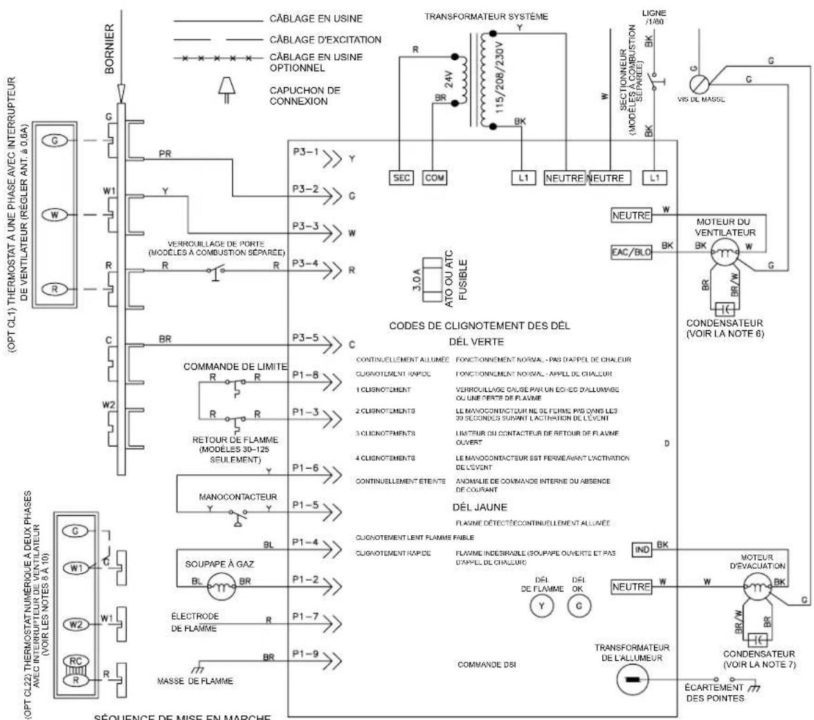 Renzor UDBP - Câblage de contrôle - 1