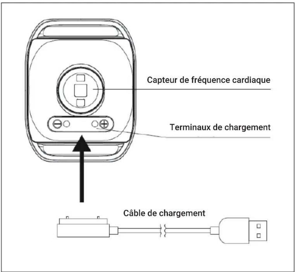 Capital Sports Puls2 BT - Alimentation - 1