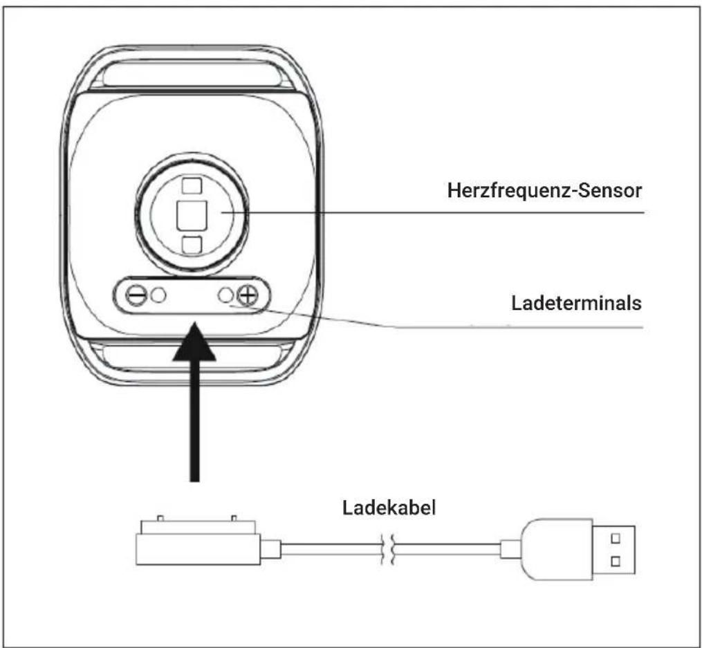 Capital Sports Puls2 BT - Stromversorgung - 1