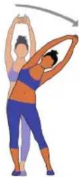 Capital Sports Pacemaker 120 Pro - SOMMAIRE - 3