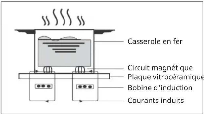 Klarstein Delicatessa Paella - UN MOT SUR LA CUISSON À INDUCTION - 1