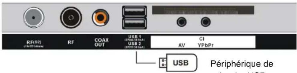 RF(82) (RF=300mA) RF COAX OUT USB 1 (V=50mA) USB 2 (V=50mA) AV CI YPbPr USB Périphérique de parative USB