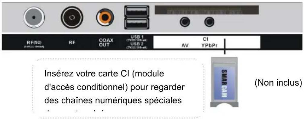 RF(S2) (RV=100mA) RF COAX OUT USB 1 (CWSS SIRnA) USB 2 (CWSS SIRnA) AV CI YPbPr Insérez votre carte CI (module d'accès conditionnel) pour regarder des chaînes numériques spéciales SMARCAN (Non inclus)