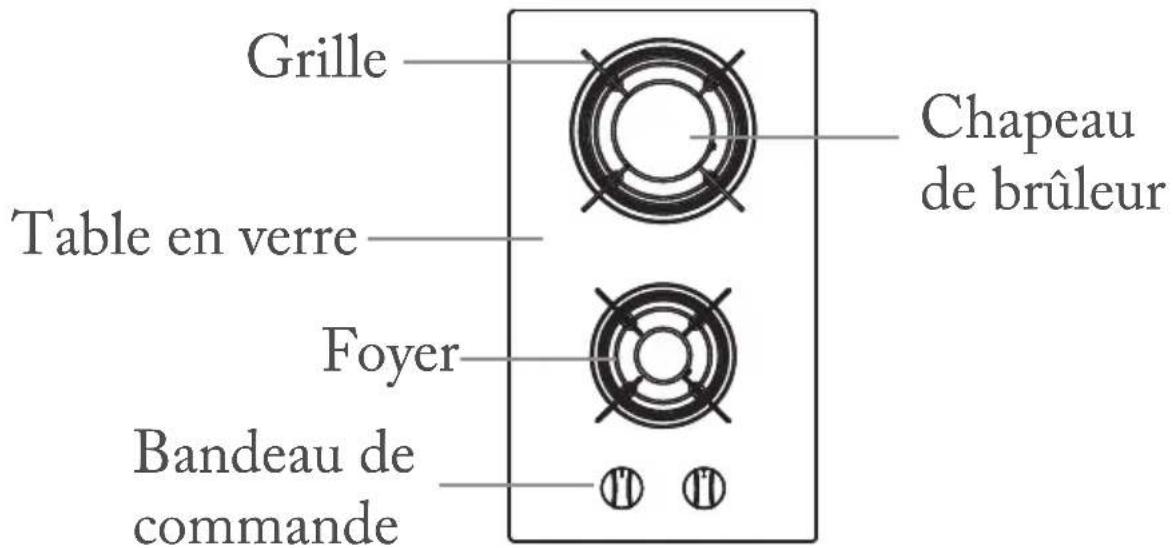 FAR DGV18CH - DESCRIPTION DE L'APPAREIL - 1