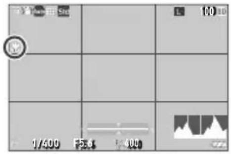 1/400 F5.3 1:400 100 dB