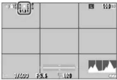1/400 F5.0 100 100 181