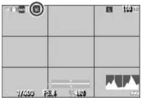 1/400 F5.4 400 100 dB