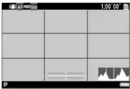AF/WD5s 1:00'00" P