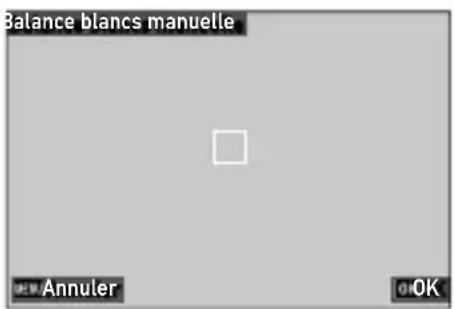 Balance blancs manuelle Annuler OK