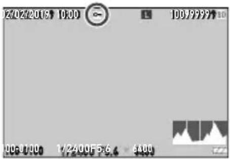 12/02/2018 10:00 100/99997 10 100-0100 1/2400F5.6 - 6400