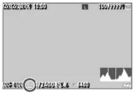 02/02/2019 10:00 10079999↑10 100-100 1/2400F5.6 6400