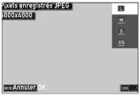 Pixels enregistrés JPEG 6000x4000 L M S XS Annuler OK OK OK