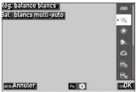 Rég. balance blancs Bal. blancs multi-auto Annuler OK