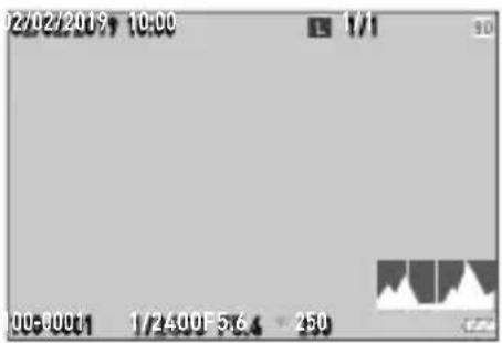 2/02/2019 10:00 1/1 00-0001 1/2400F5:6.4 250