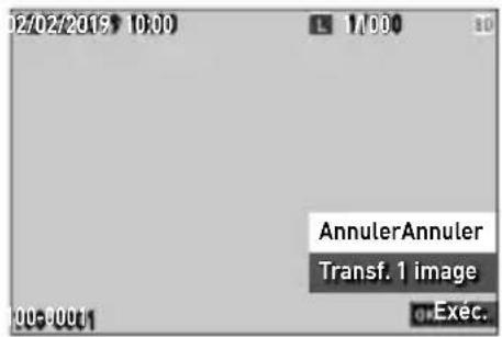 02/02/2019 10:00 17:00 AnnulerAnnuler Transf. 1 image Exec.