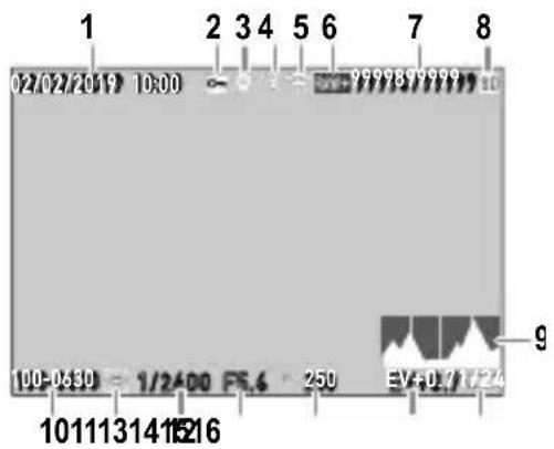 1 02/02/2019 10:00 100-0630 = 1/2400 PS.4 - 250 EV+01/17/24 1011131415216 9