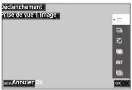Déclenchement Prise de vue 1 image Annuler OK