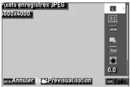 Pixels enregistrés JPEG 6000x4000 Annuler Exéc Prévisualisation