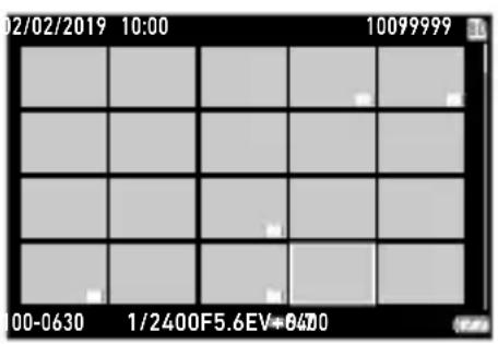 02/02/2019 10:00 10099999 00-0630 1/2400F5.6EV=8470