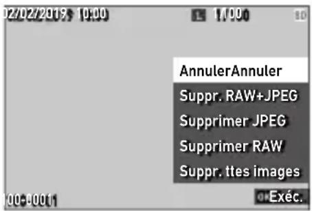 02/02/2019 10:00 AnnulerAnnuler Suppr. RAW+JPEG Supprimer JPEG Supprimer RAW Suppr. ttes images Exéc.