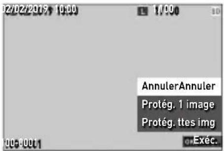 02/02/2019 10:00 17:00 AnnulerAnnuler Protég. 1 image Protég. ttes img 00-0001 Exéc.