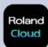 ROLAND V-Drums VAD516 - Connectez l'adaptateur secteur et les écouteurs - 3