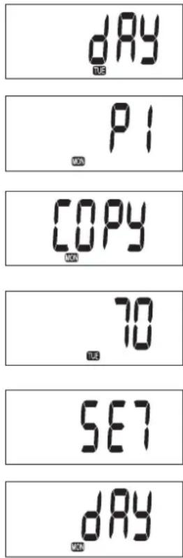 Toyotomi Zibro LC-32 - PROGRAMMARE IL WEEKLY TIMER - 2