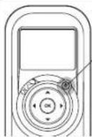 DOLPHIN Premier - TELECOMANDO - SOLO PER MODELLO TOP - 2