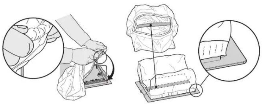 DOLPHIN W20 - Remplacement du sac de filtrage - 1
