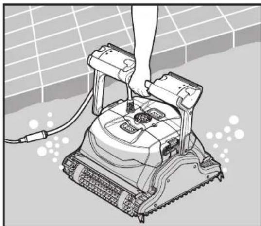 DOLPHIN Oasis Z5i - Putting the Pool Cleaner into the pool - 1