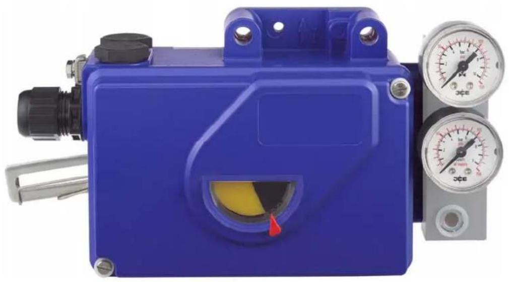 SCHNEIDER SRI990 - SRI990 Analog Positioner - 1