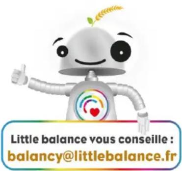 LITTLE BALANCE 8654 - Avertissement et précautions relativement aux piles (modèles à chargement USB non concernés) - 4
