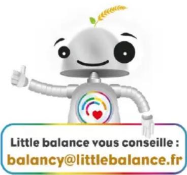 LITTLE BALANCE 8654 - Avertissement et précautions relativement aux piles (modèles à chargement USB non concernés) - 2