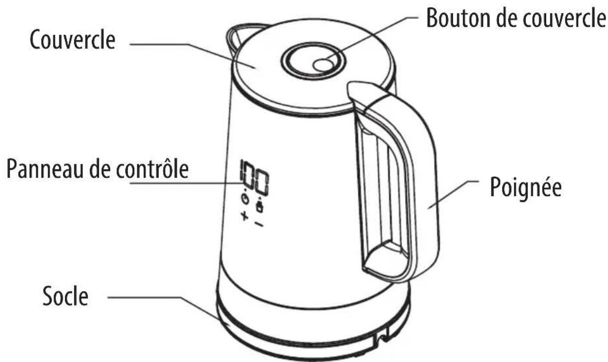 SABA BSF DIGIT B22 - DESCRIPTION - 1