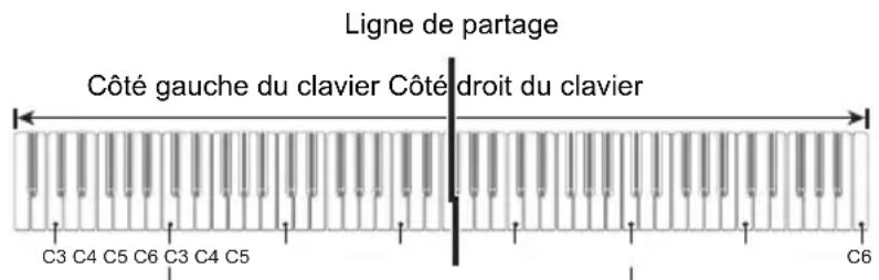 CASIO Celviano AP-S190 - Qu'est-ce qu'une performance à quatre mains? - 1