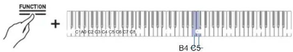 CASIO Celviano AP-S190 - ■Changement par incréments de 0,1 Hz - 1