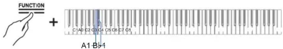 CASIO Celviano AP-S190 - Appuyez sur la touche A1 ou Bb1. - 1