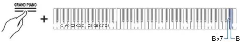 CASIO Celviano AP-S190 - Accordage fin de la Partie Lower (Lower Désaccordage) - 1