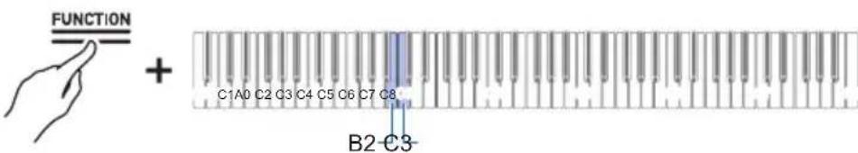 CASIO Celviano AP-S190 - Tout en maintainant enforcé le bouton « FUNCTION», appuyez sur la touche B2 ou C3. - 1