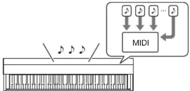 CASIO Celviano AP-S190 - ■Enregistreur MIDI - 1