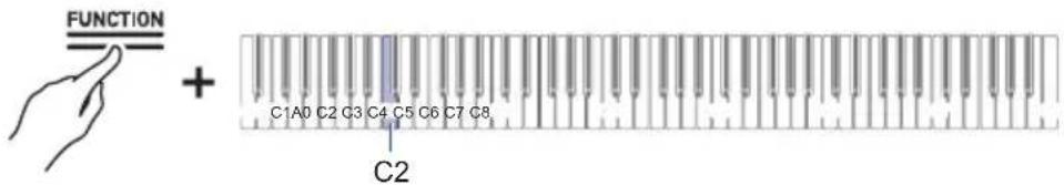 CASIO Celviano AP-S190 - IMPORTANT! - 1