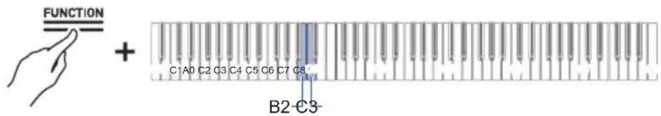CASIO Celviano AP-S190 - Tout en maintainant enforcé le bouton « FUNCTION», appuyez sur la touche B2 ou C3. - 1
