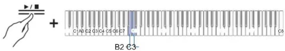 CASIO Celviano AP-S190 - Passage à la chanson précédente/suivante - 1